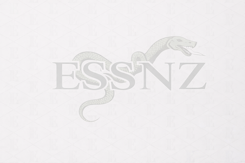 Essnz